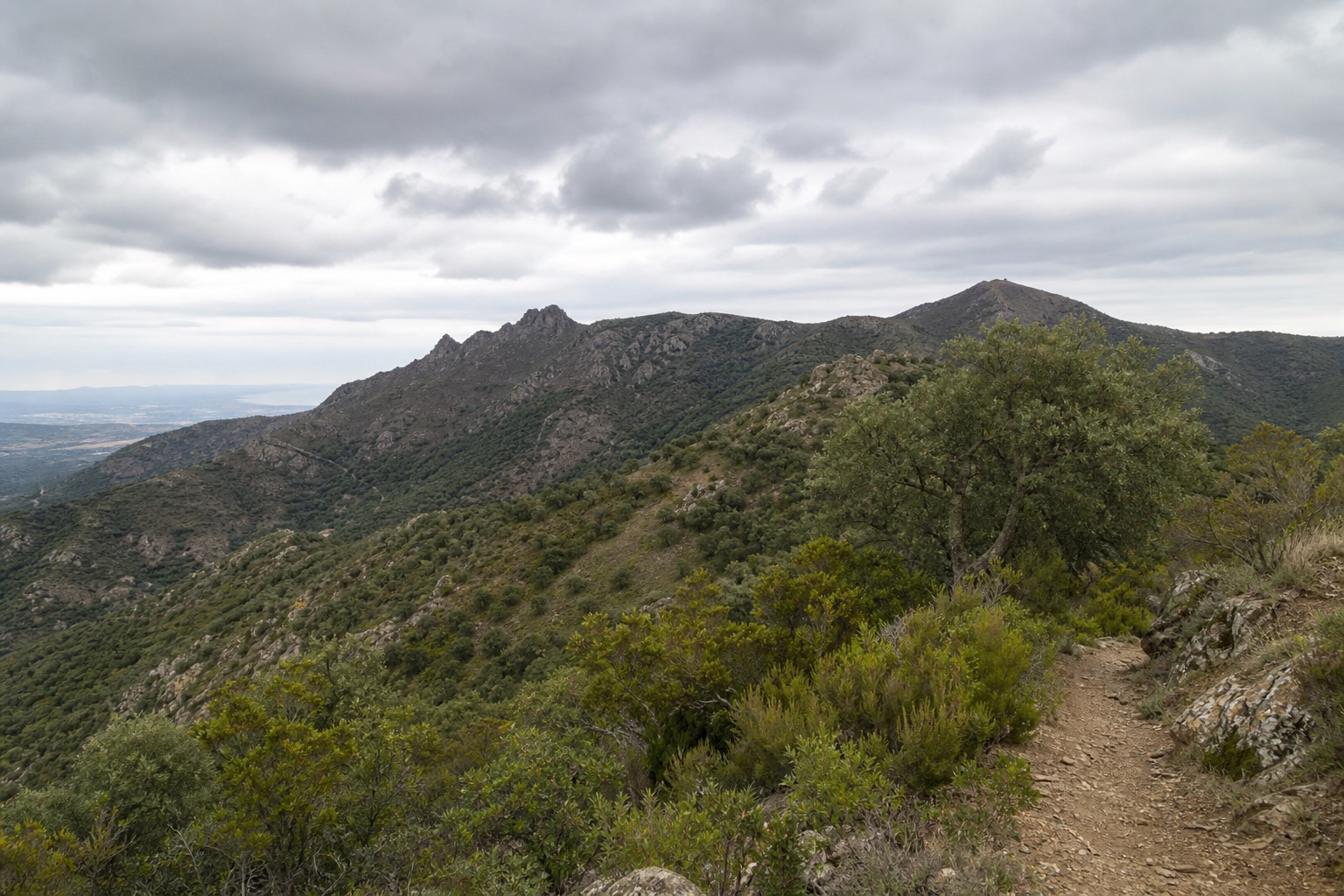 Crêtes du massif des Albères, dans les Pyrénées-Orientales.